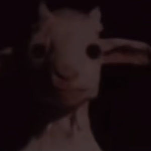 Meet your Posher, Teal rblx